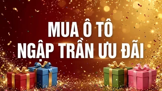 Địa điểm hỗ trợ xem xe tại Sài Gòn